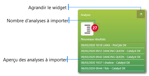 Widget Analyses