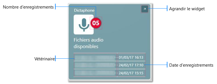 Widget Dictaphone