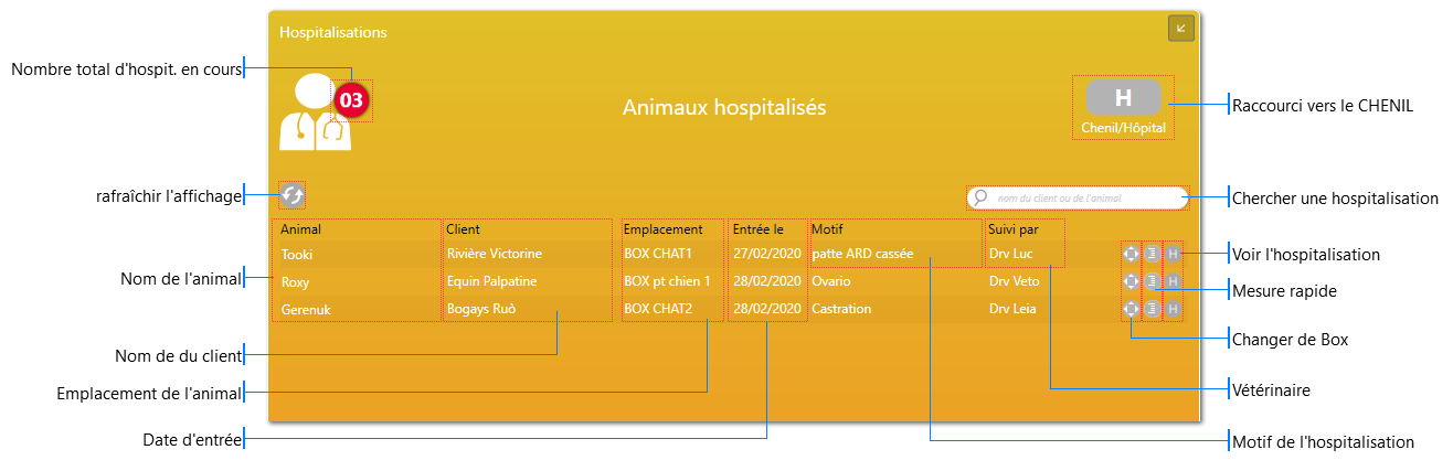 Widget Hospitalisations